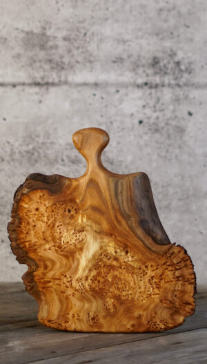 Burly Elm – 13" x 12"