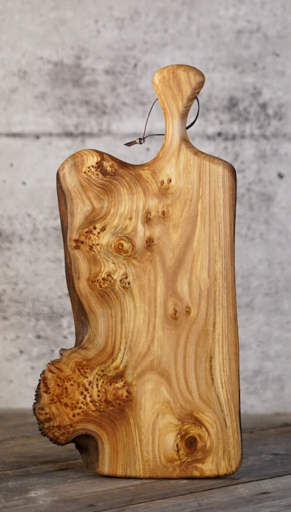 Burly Elm – 19" x 8"